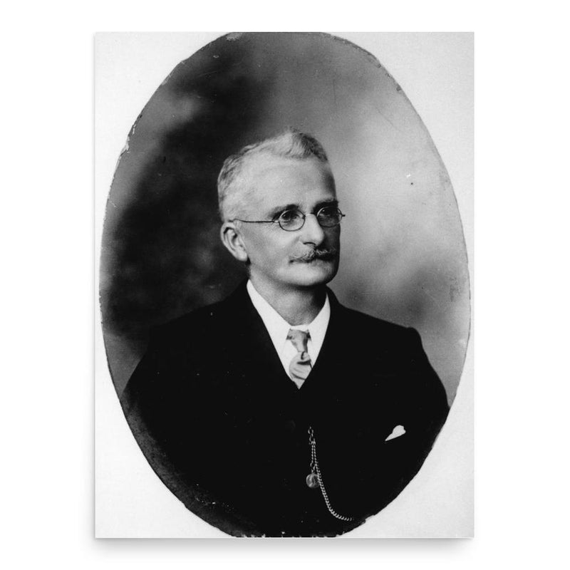 Alfred John Raymond poster print, in size 18x24 inches.