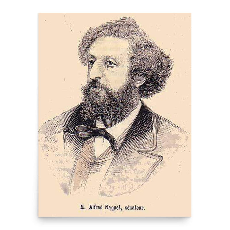 Alfred Joseph Naquet poster print, in size 18x24 inches.