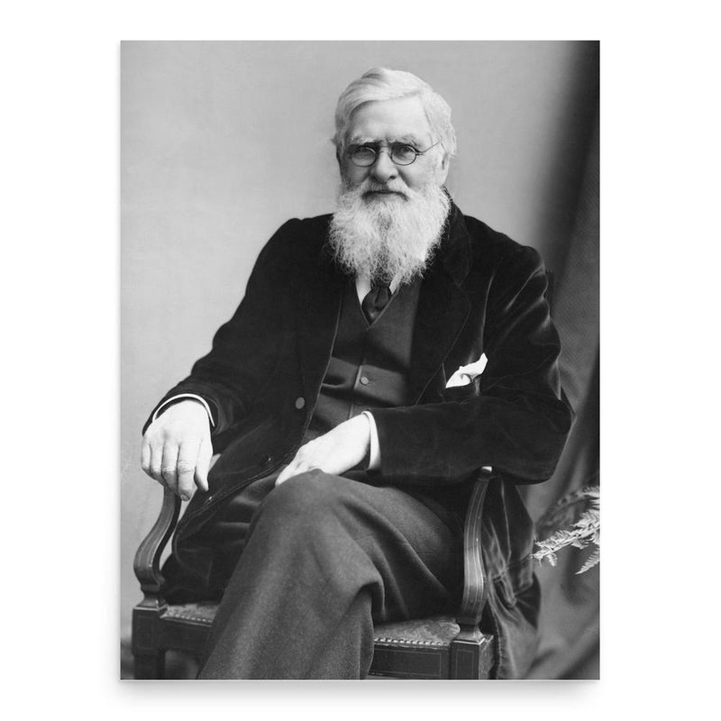 Alfred Russel Wallace poster print, in size 18x24 inches.