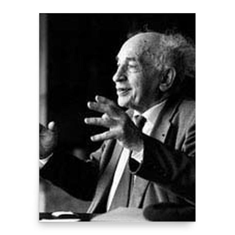 Alfred Sauvy poster print, in size 18x24 inches.