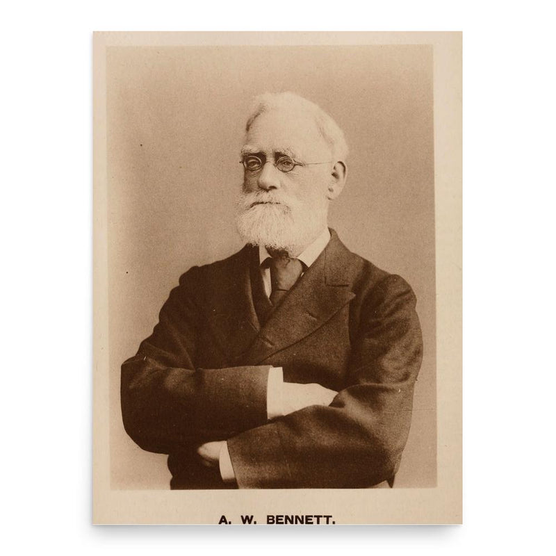 Alfred William Bennett poster print, in size 18x24 inches.