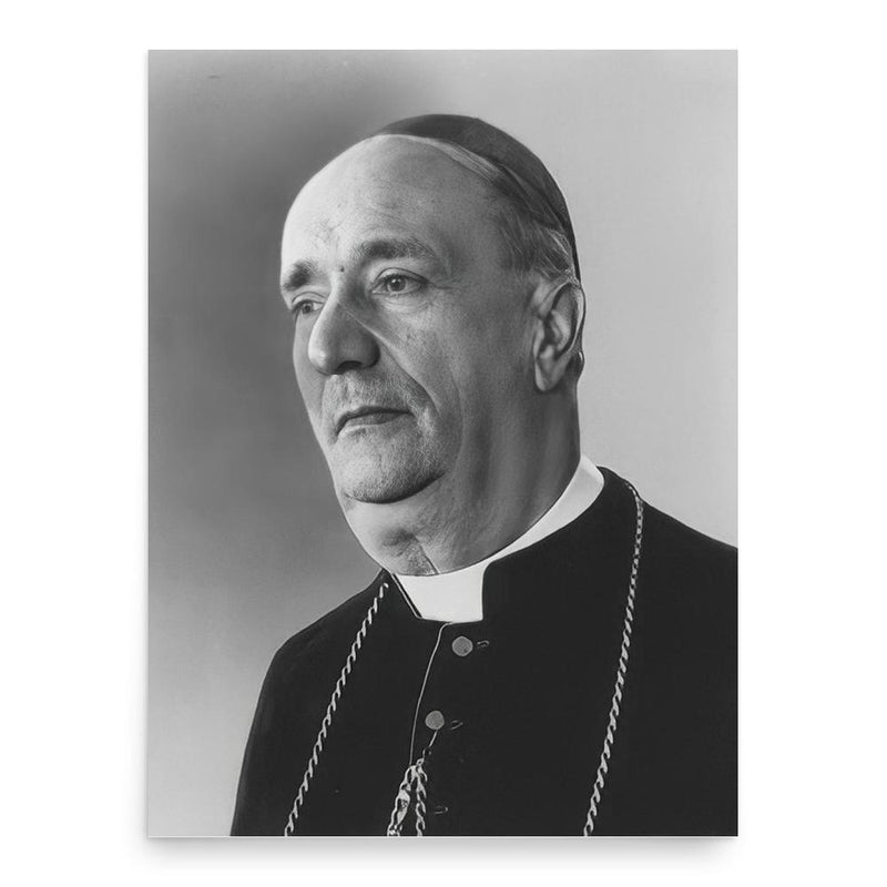 Alfredo Ottaviani poster print, in size 18x24 inches.