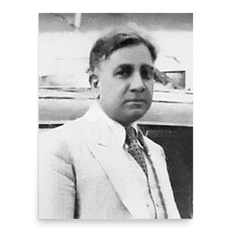 Ali Ahmed S Kazi poster print, in size 18x24 inches.