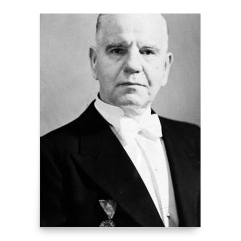 Ali Fuat Cebesoy poster print, in size 18x24 inches.