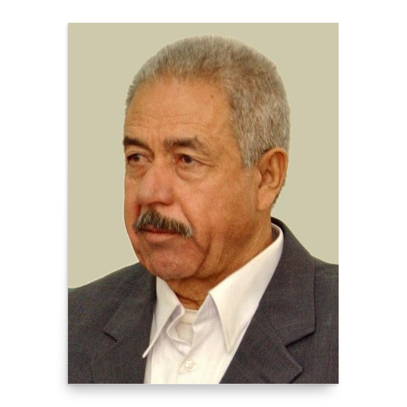 Ali Hassan al-Majid poster print, in size 18x24 inches.