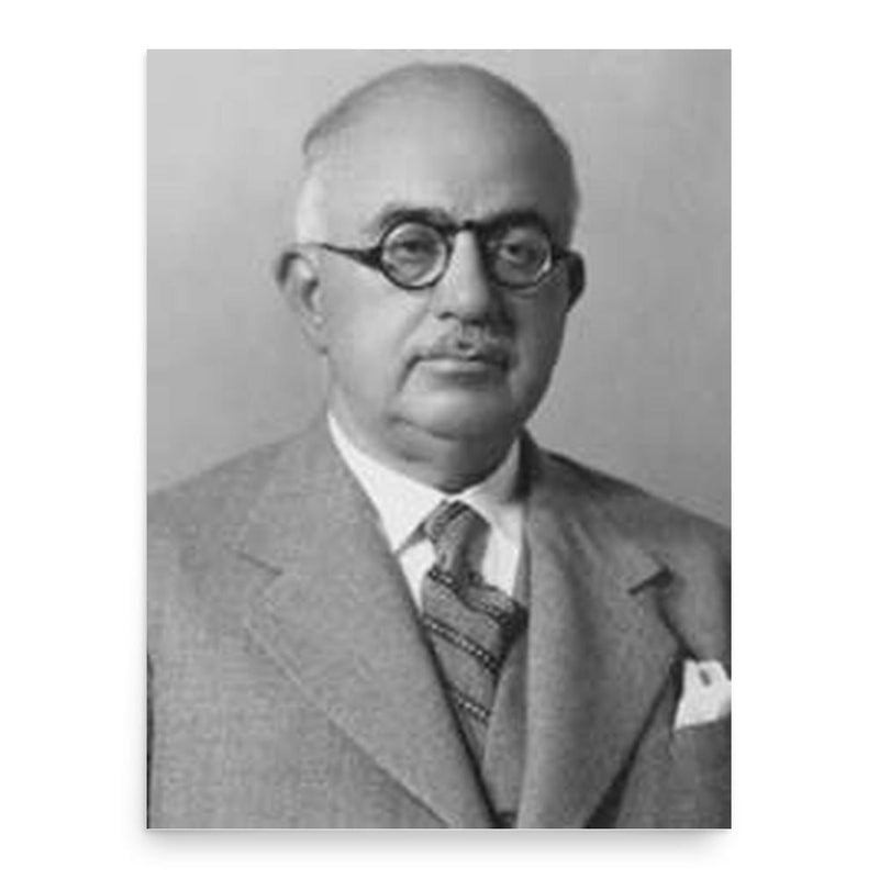 Ali Hikmet Ayerdem poster print, in size 18x24 inches.