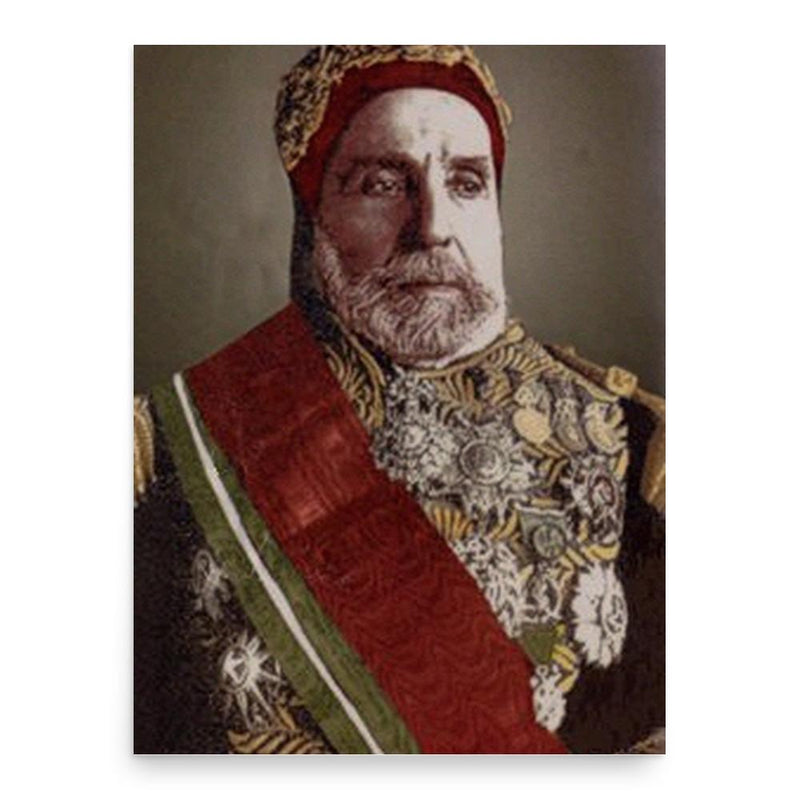 Ali III ibn al-Husayn poster print, in size 18x24 inches.