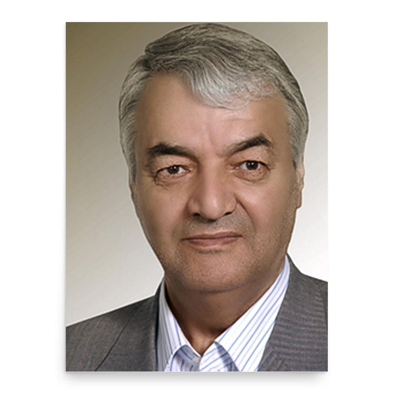 Ali Khodadadi poster print, in size 18x24 inches.