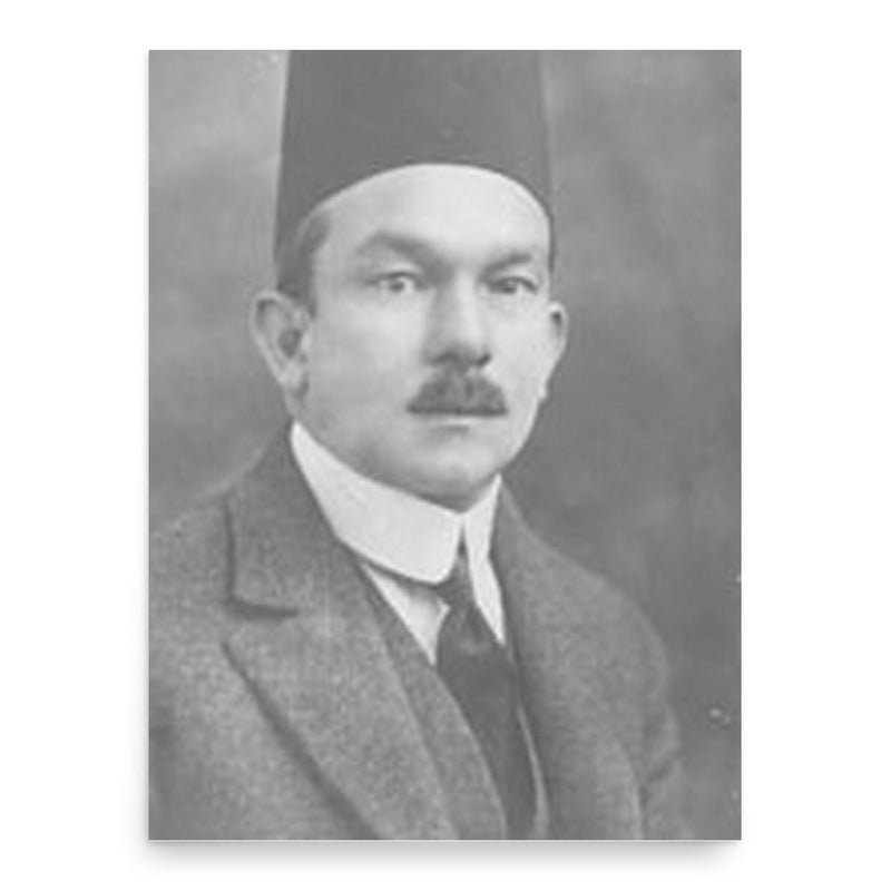 Ali Shamsi Pasha poster print, in size 18x24 inches.