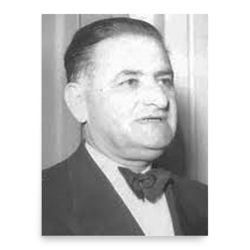 Ali Soheili poster print, in size 18x24 inches.