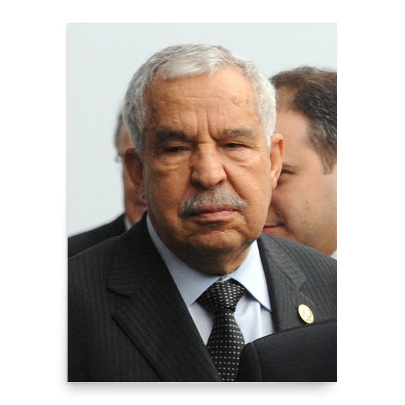 Ali Treki poster print, in size 18x24 inches.