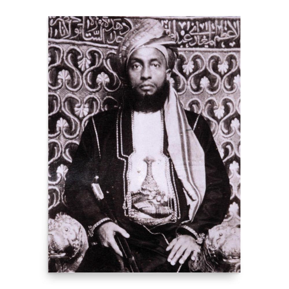Ali bin Said of Zanzibar poster print, in size 18x24 inches.