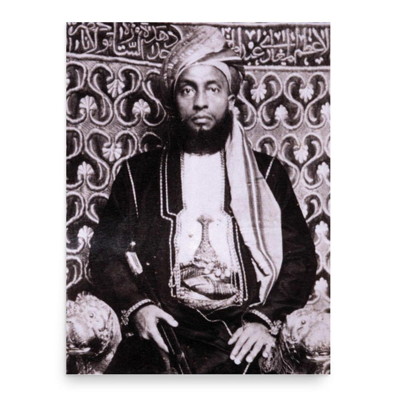 Ali bin Said of Zanzibar poster print, in size 18x24 inches.