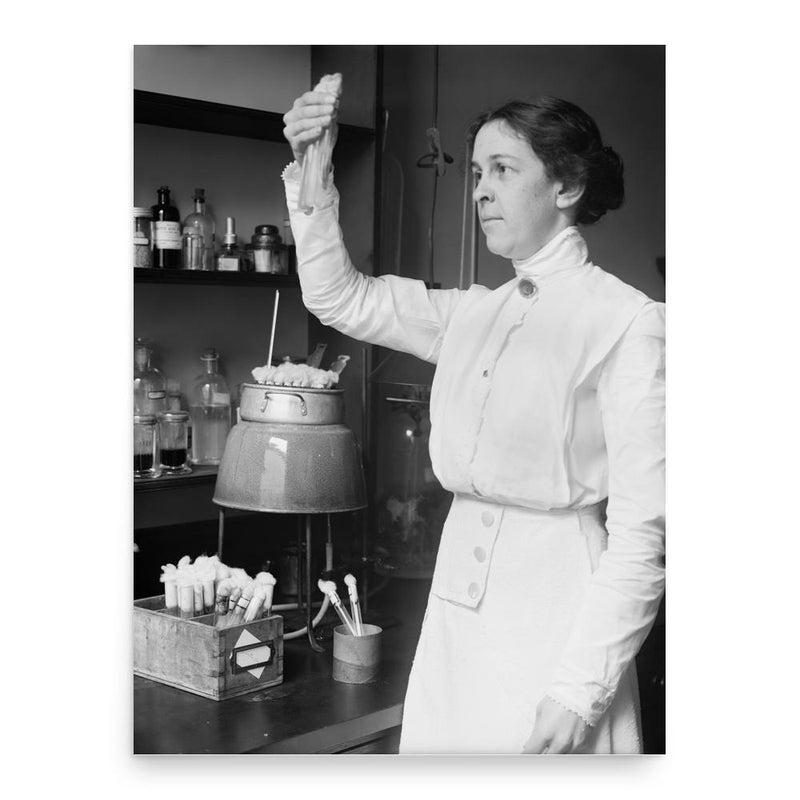 Alice Catherine Evans poster print, in size 18x24 inches.