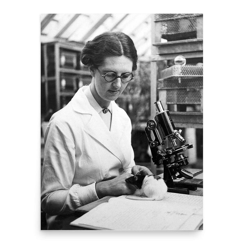 Alice Copping poster print, in size 18x24 inches.