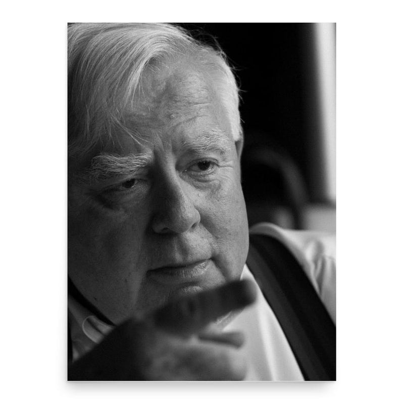 Allan Schnaiberg poster print, in size 18x24 inches.