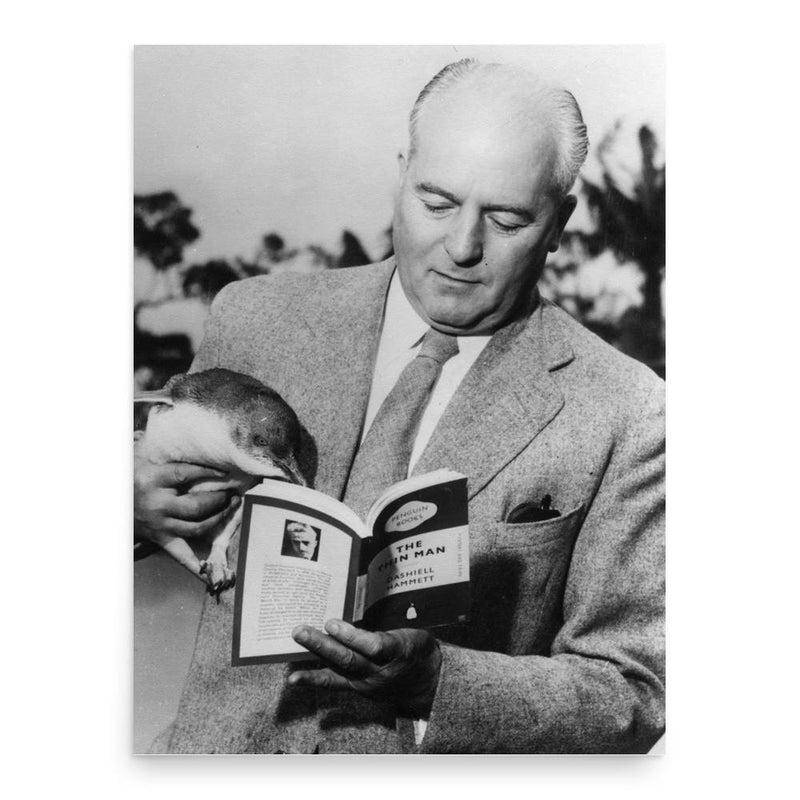 Allen Lane poster print, in size 18x24 inches.