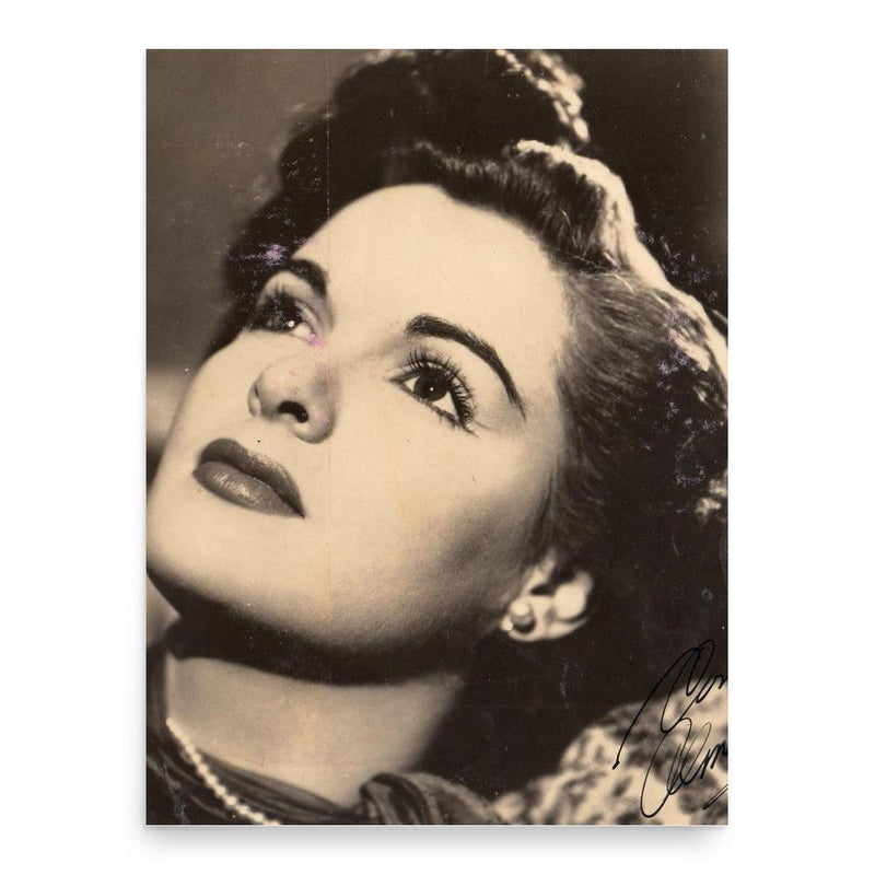 Alma Delia Fuentes poster print, in size 18x24 inches.