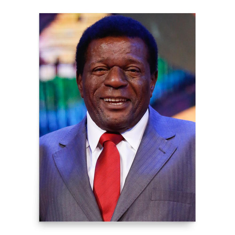 Almir Guineto poster print, in size 18x24 inches.