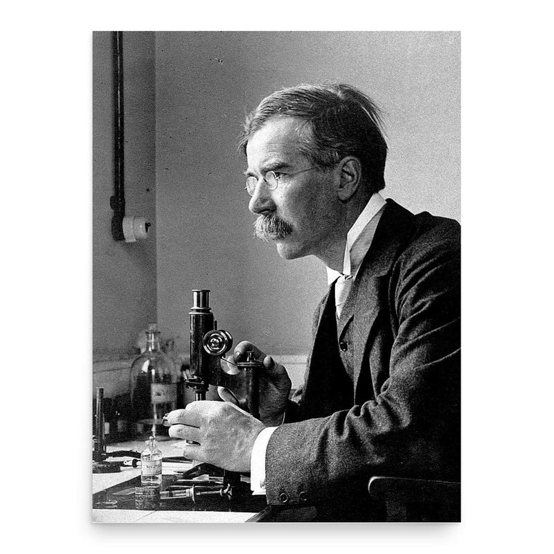 Almroth Wright poster print, in size 18x24 inches.