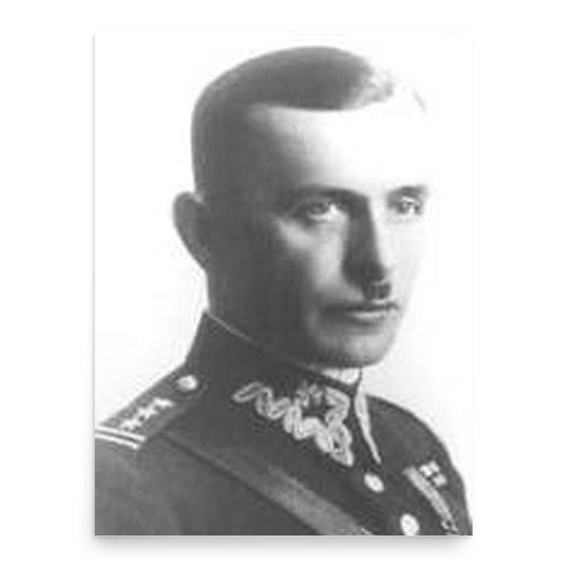 Alojzy Wir-Konas poster print, in size 18x24 inches.