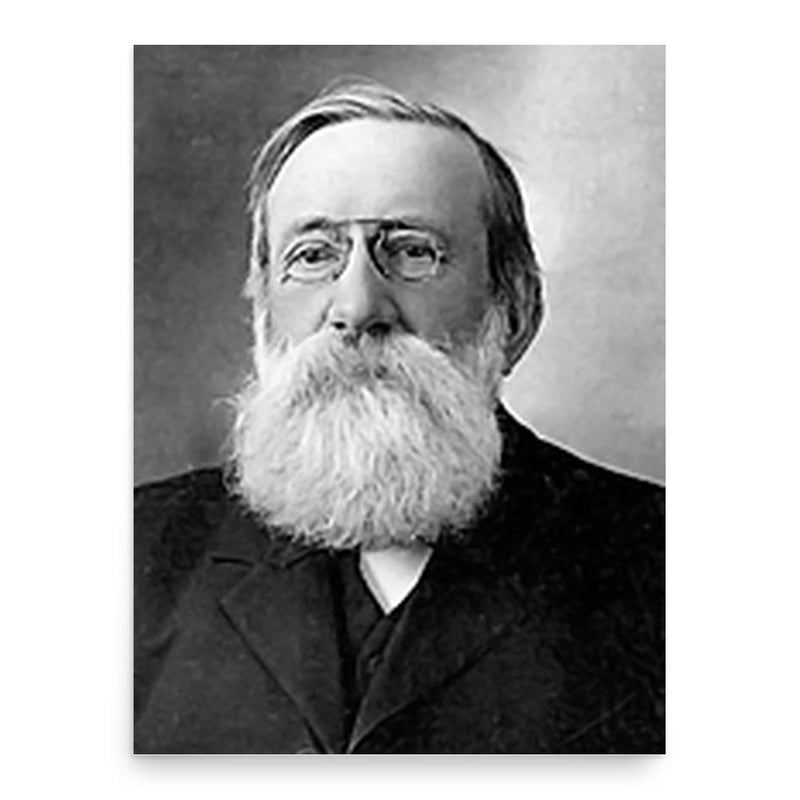 Alphonse Fiquet poster print, in size 18x24 inches.