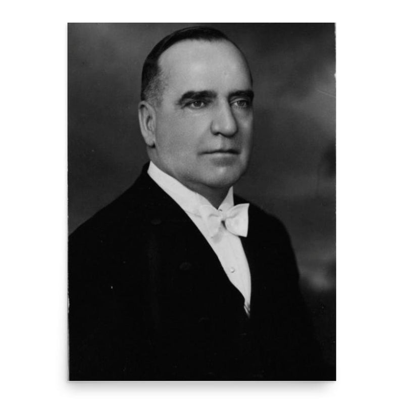 Alphonse Raymond poster print, in size 18x24 inches.