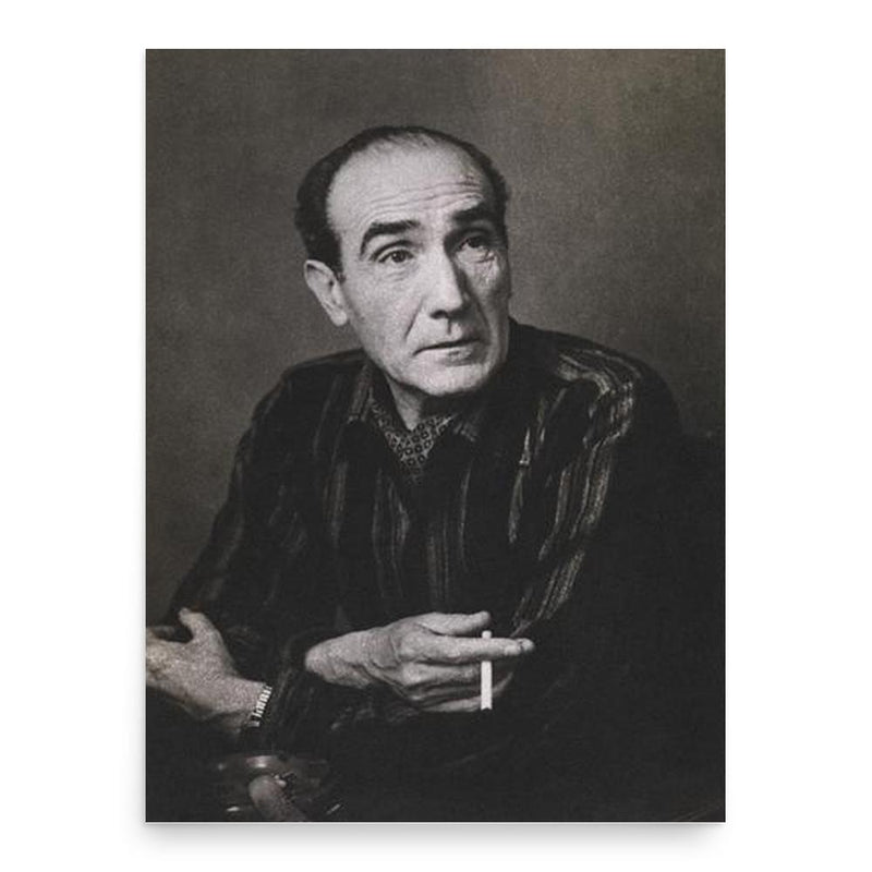 Alves Redol poster print, in size 18x24 inches.