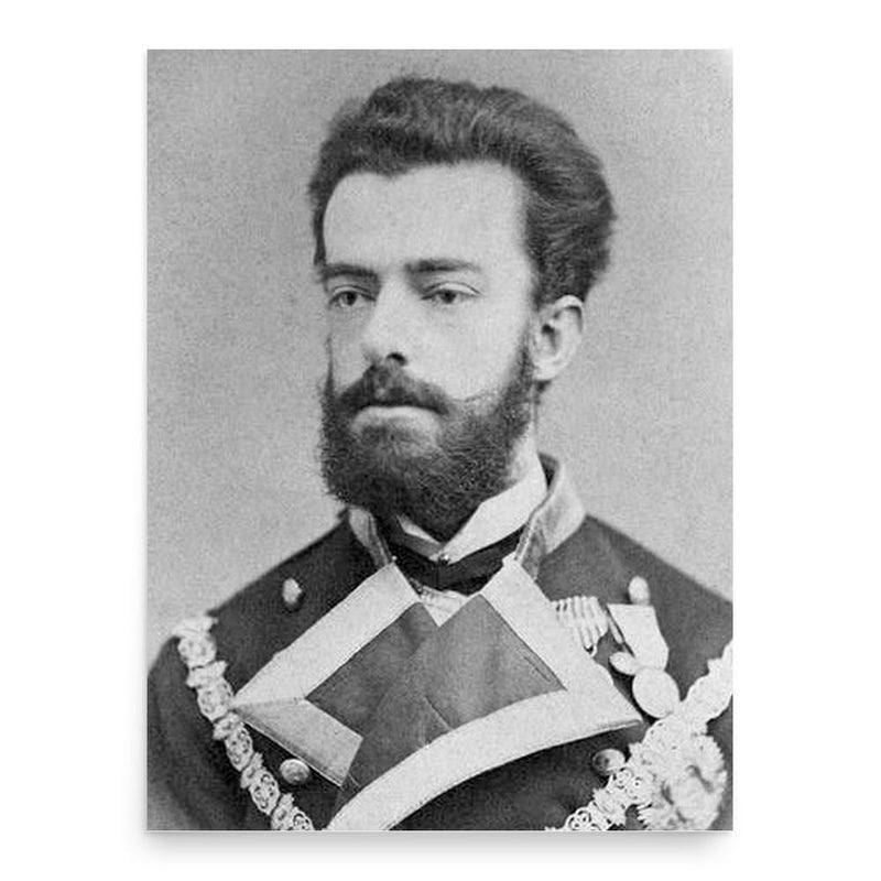 Amadeo I of Spain poster print, in size 18x24 inches.