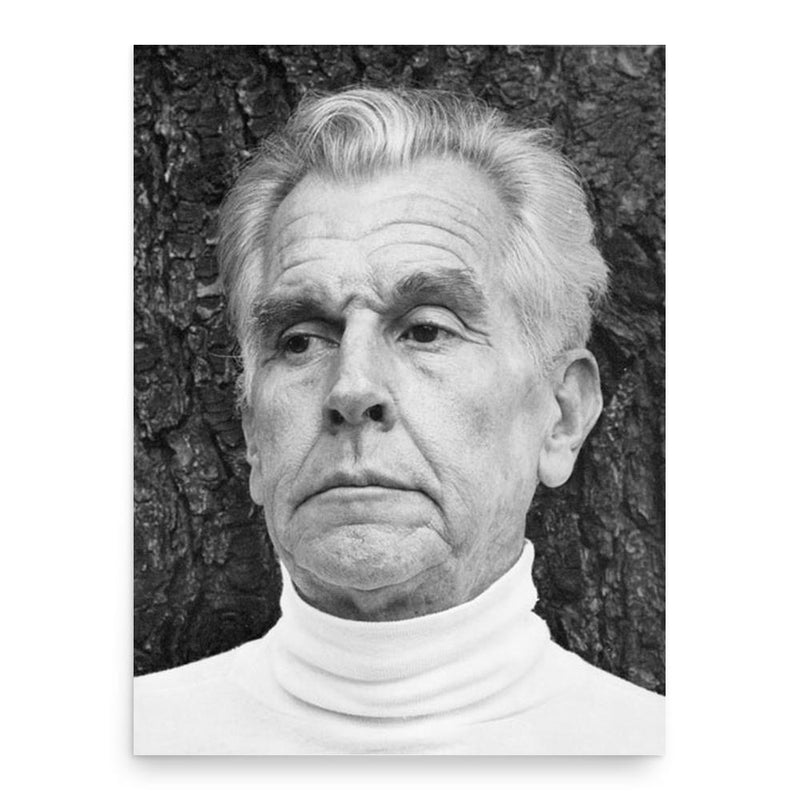 Amancio Williams poster print, in size 18x24 inches.