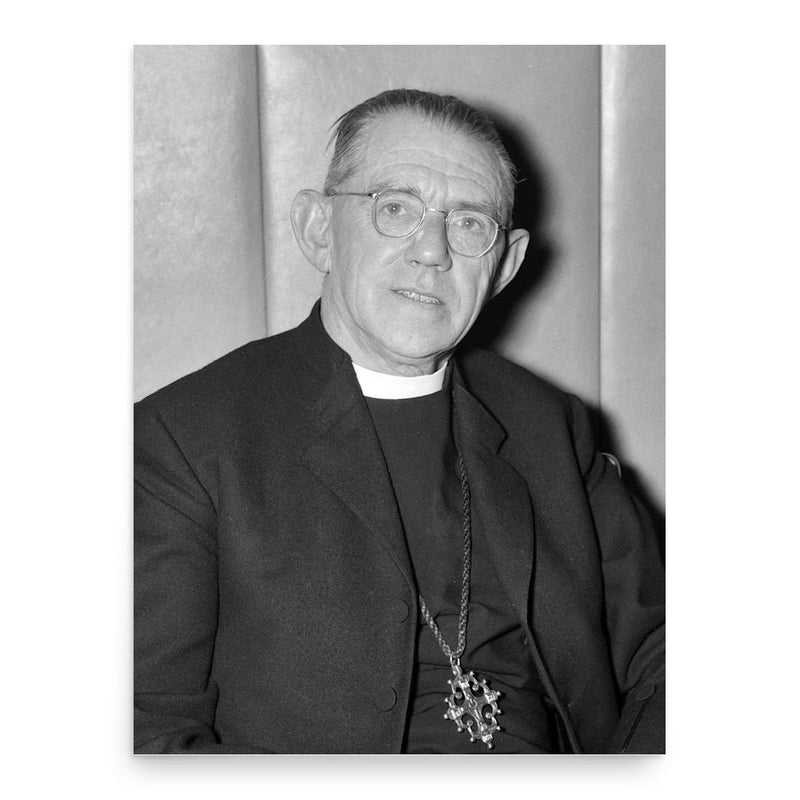 Ambrose Reeves poster print, in size 18x24 inches.