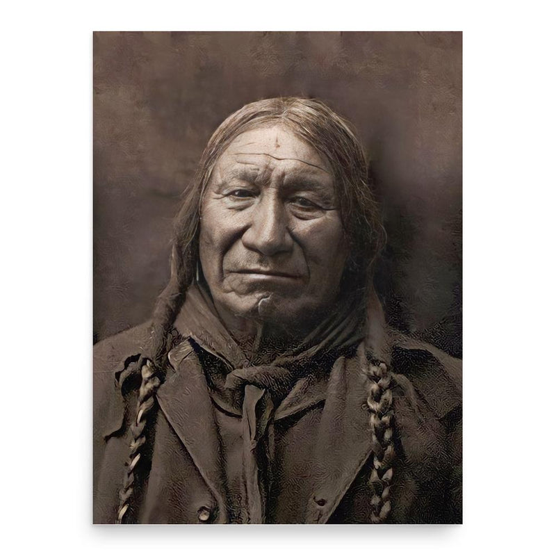 American Horse poster print, in size 18x24 inches.