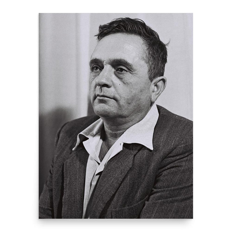 Ami Assaf poster print, in size 18x24 inches.