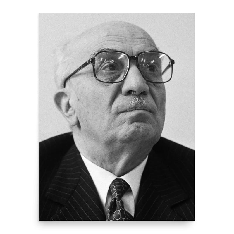 Amintore Fanfani poster print, in size 18x24 inches.