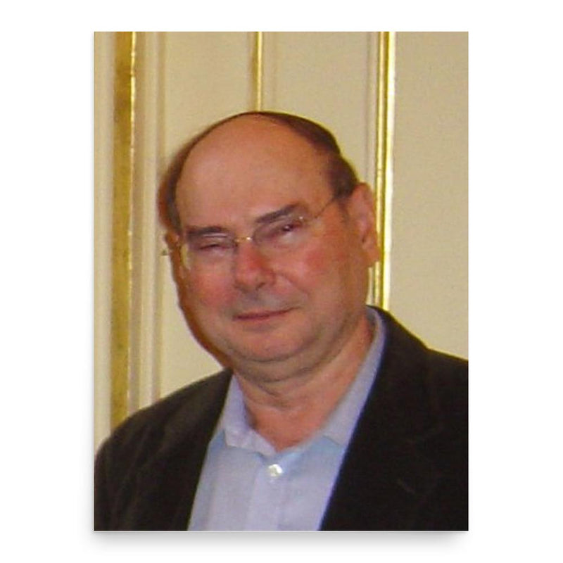 Amir Pnueli poster print, in size 18x24 inches.