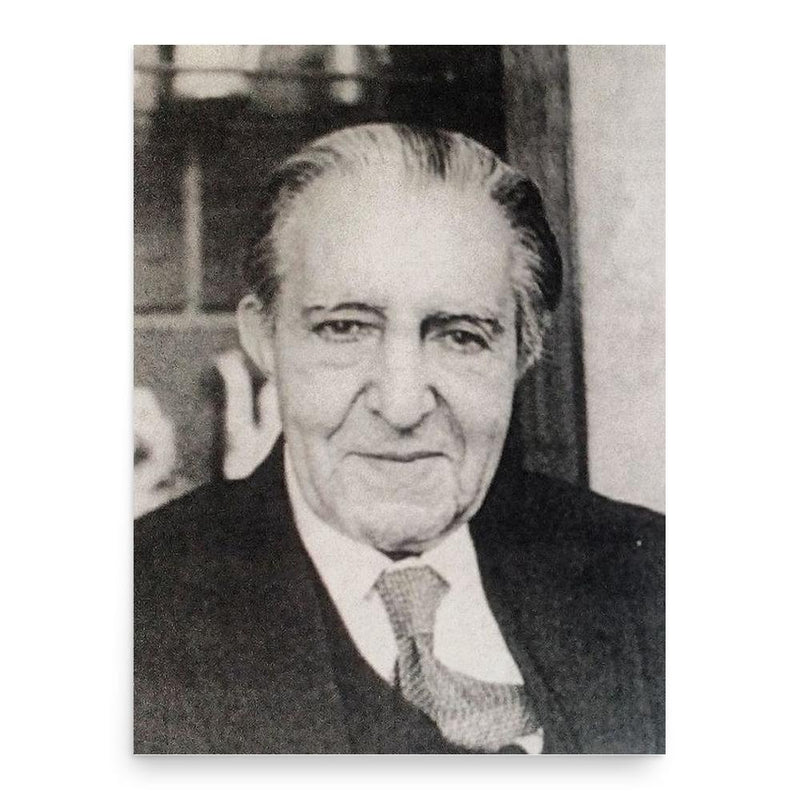 Amirteymour Kalali poster print, in size 18x24 inches.