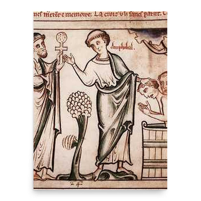 Amphibalus poster print, in size 18x24 inches.