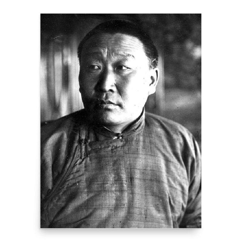 Anandyn Amar poster print, in size 18x24 inches.