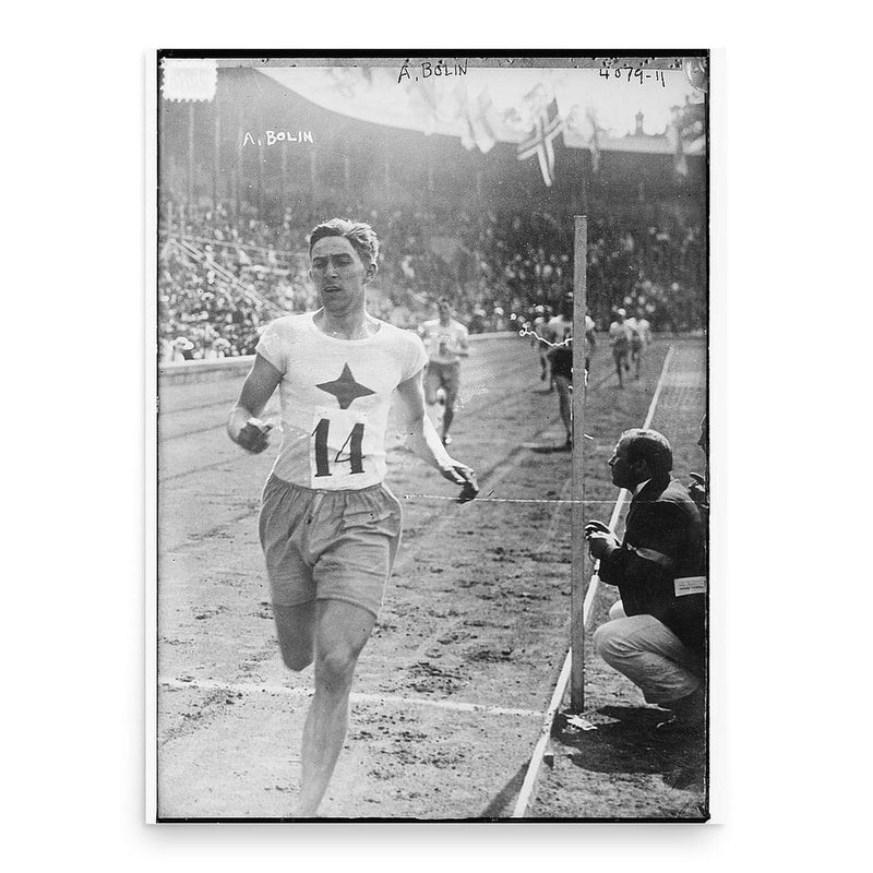 Anatole Bolin poster print, in size 18x24 inches.