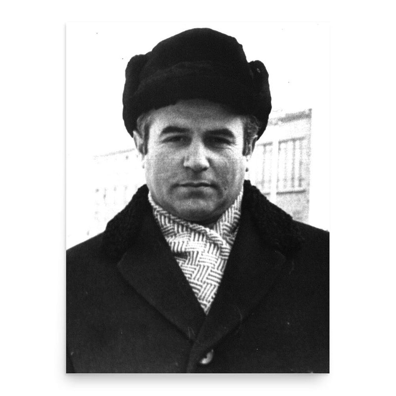 Anatoly Rubin poster print, in size 18x24 inches.