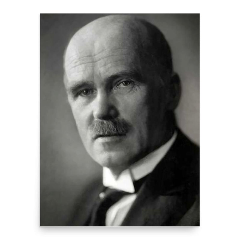 Anders Beer Wilse poster print, in size 18x24 inches.