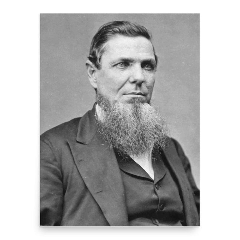 Andrew Jackson Hamilton poster print, in size 18x24 inches.