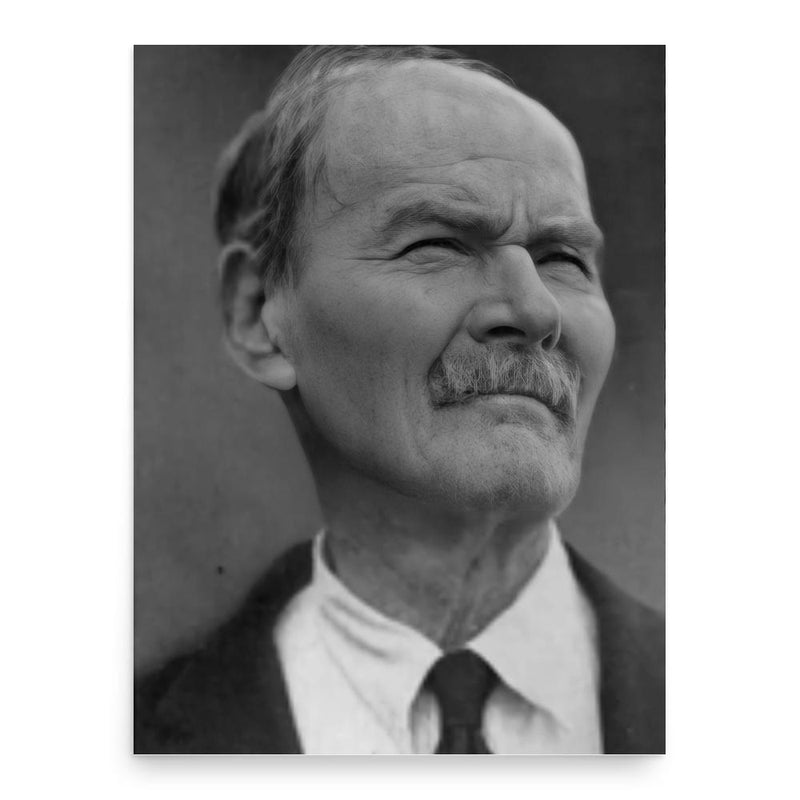 Andrew Jackson Houston poster print, in size 18x24 inches.