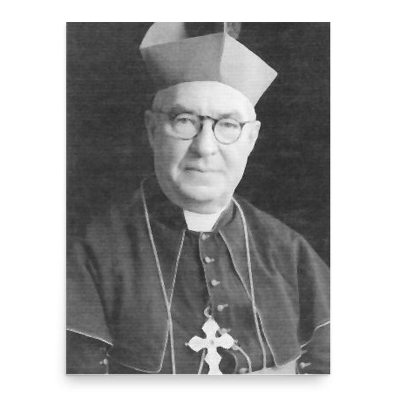 Andrew Killian poster print, in size 18x24 inches.