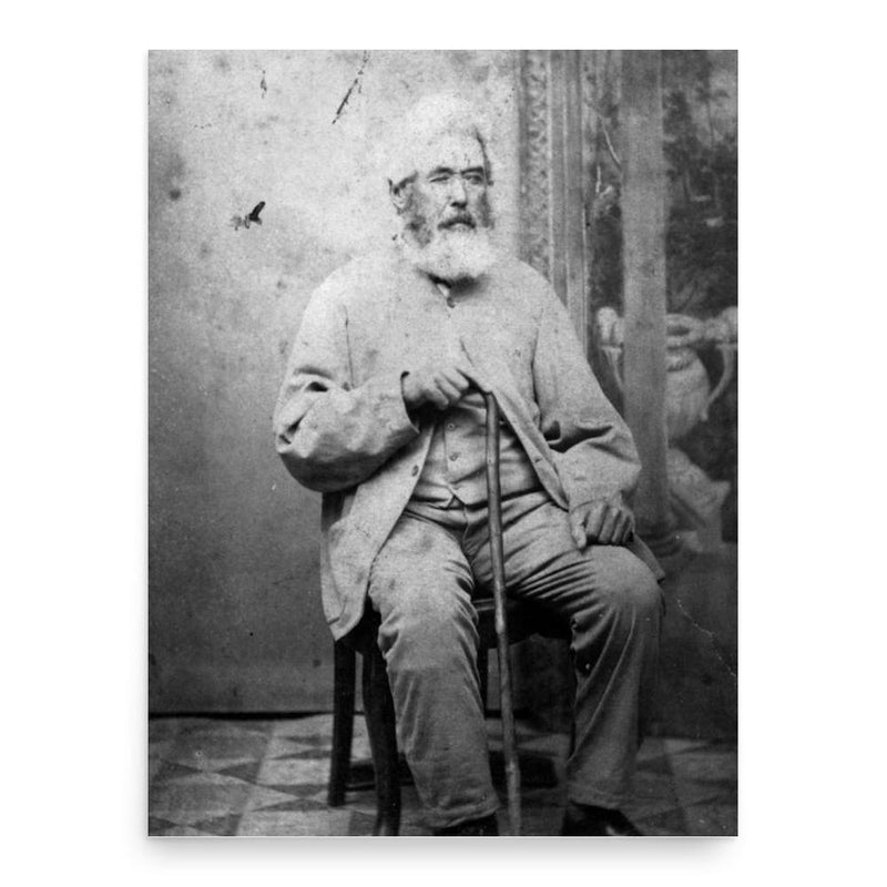 Andrew Petrie poster print, in size 18x24 inches.