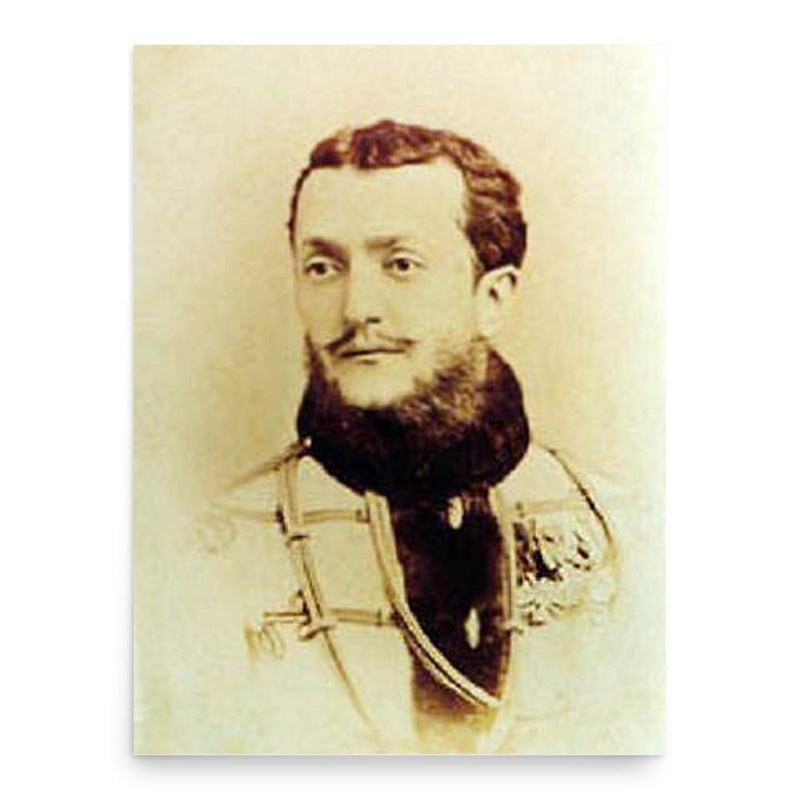 Andria Dadiani poster print, in size 18x24 inches.