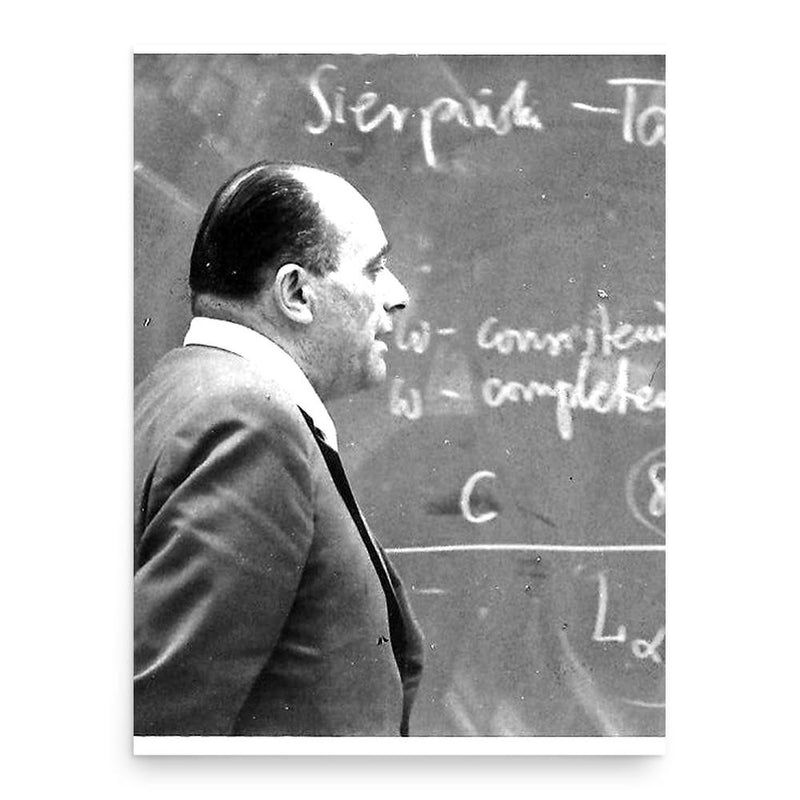 Andrzej Mostowski poster print, in size 18x24 inches.