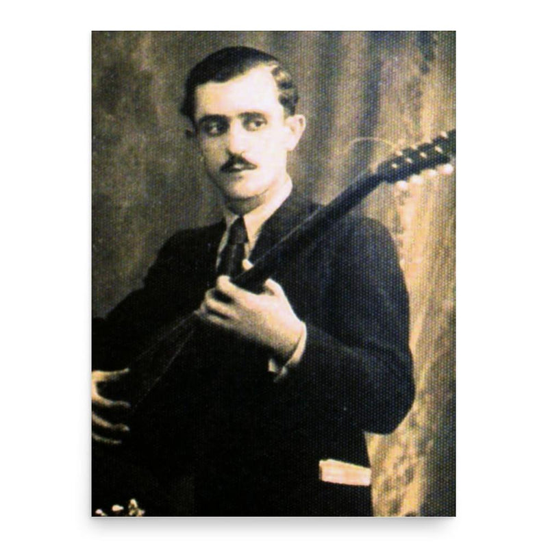 Anestis Delias poster print, in size 18x24 inches.