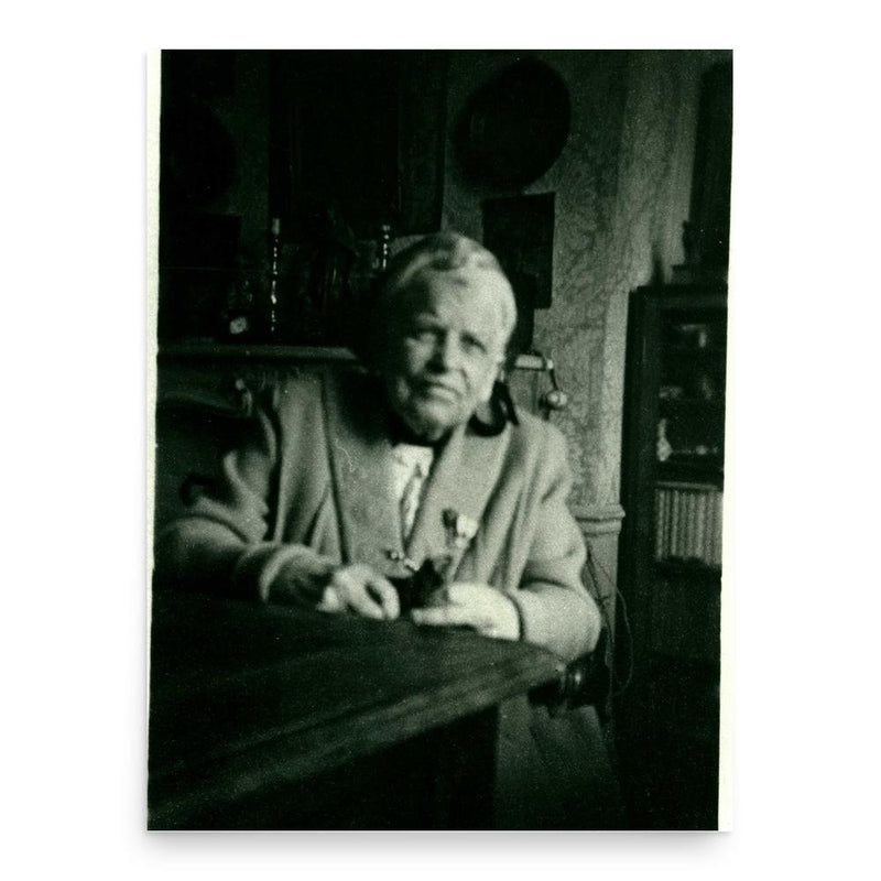 Anna Murray Vail poster print, in size 18x24 inches.