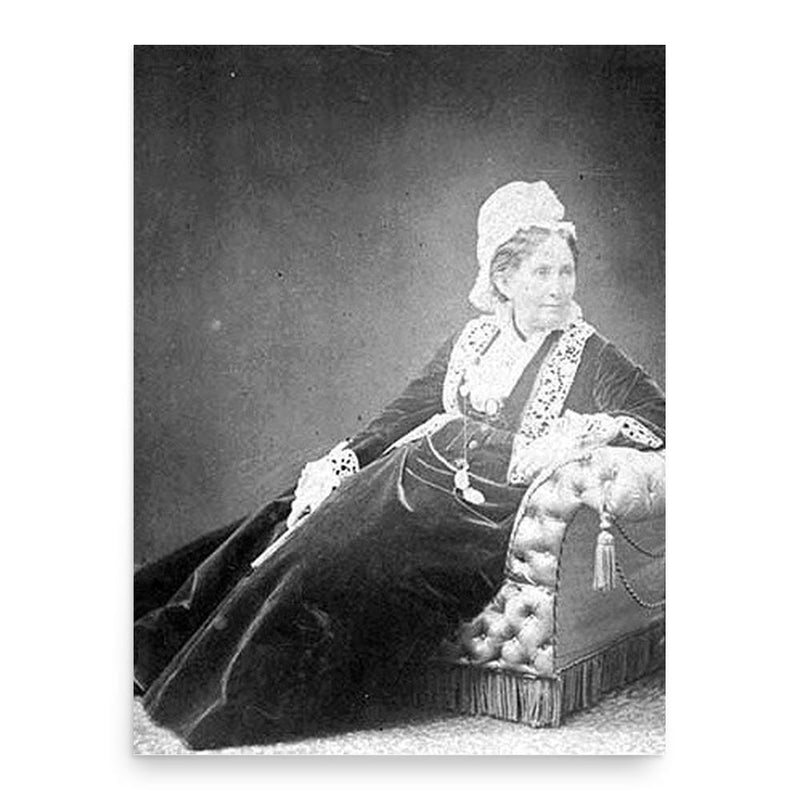 Anne Hampton Brewster poster print, in size 18x24 inches.